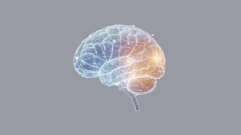 GLP-1 e Alzheimer Como o Intestino Pode Proteger o Cérebro